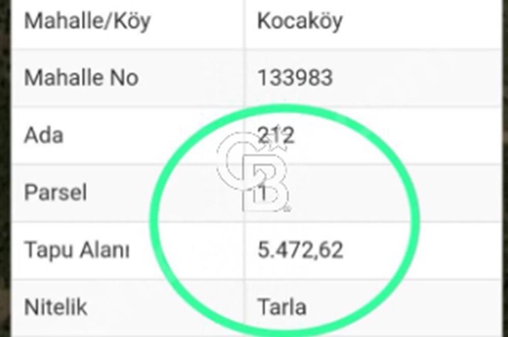 AYVACIK/KOCAKÖY'DE KÖYÜN DİBİNDE,RESMİ YOLU OLAN"5472M2 ARAZİ"