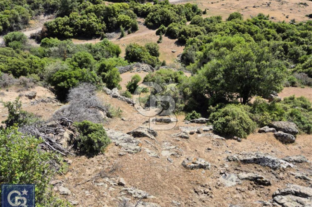 AYVACIK/KOCAKÖY'DE KÖYÜN DİBİNDE,RESMİ YOLU OLAN"5472M2 ARAZİ"