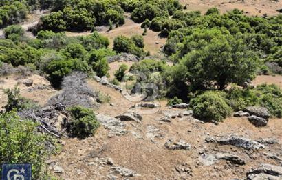 AYVACIK/KOCAKÖY'DE KÖYÜN DİBİNDE,RESMİ YOLU OLAN"5472M2 ARAZİ"