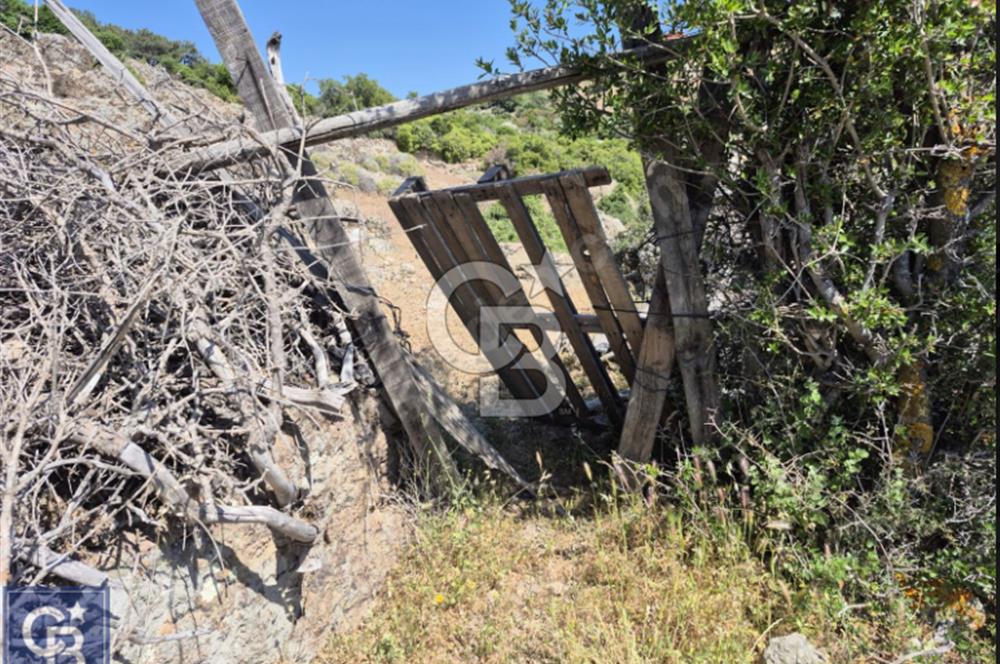 AYVACIK/KOCAKÖY'DE KÖYÜN DİBİNDE,RESMİ YOLU OLAN"5472M2 ARAZİ"