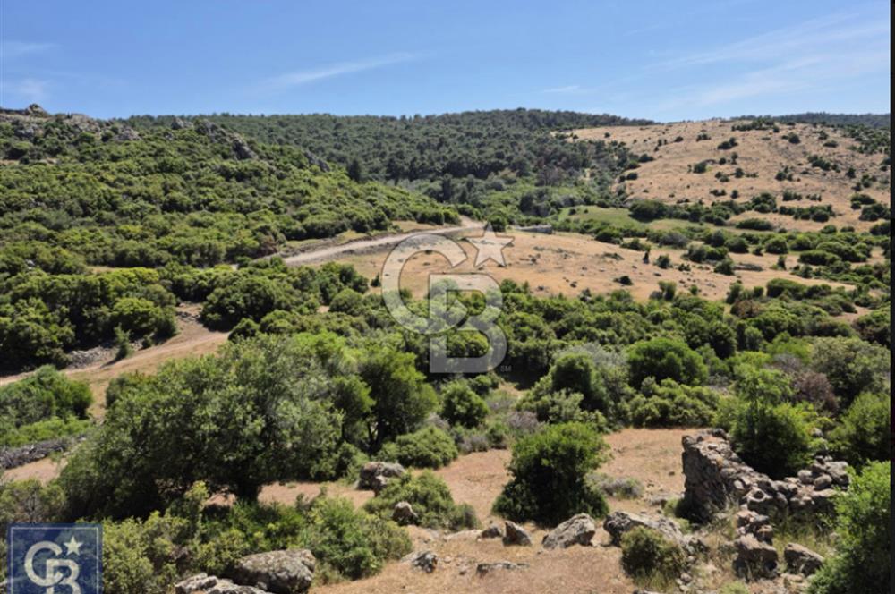 AYVACIK/KOCAKÖY'DE KÖYÜN DİBİNDE,RESMİ YOLU OLAN"5472M2 ARAZİ"