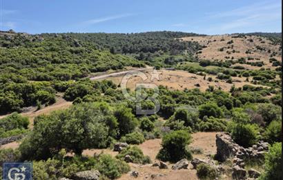 AYVACIK/KOCAKÖY'DE KÖYÜN DİBİNDE,RESMİ YOLU OLAN"5472M2 ARAZİ"