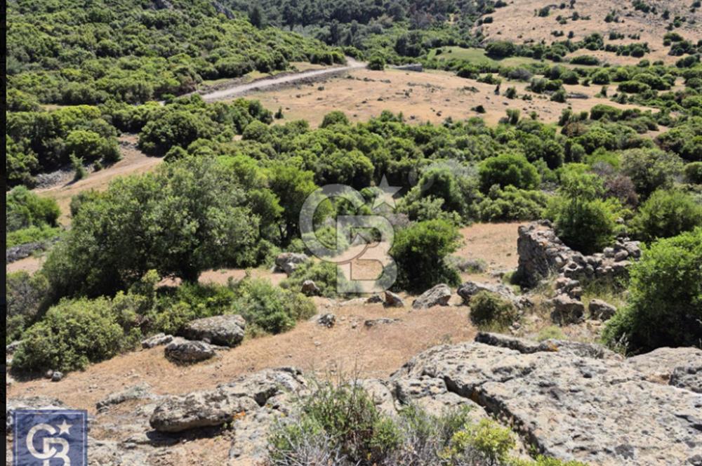 AYVACIK/KOCAKÖY'DE KÖYÜN DİBİNDE,RESMİ YOLU OLAN"5472M2 ARAZİ"