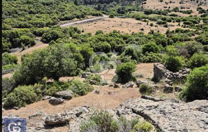 AYVACIK/KOCAKÖY'DE KÖYÜN DİBİNDE,RESMİ YOLU OLAN"5472M2 ARAZİ"