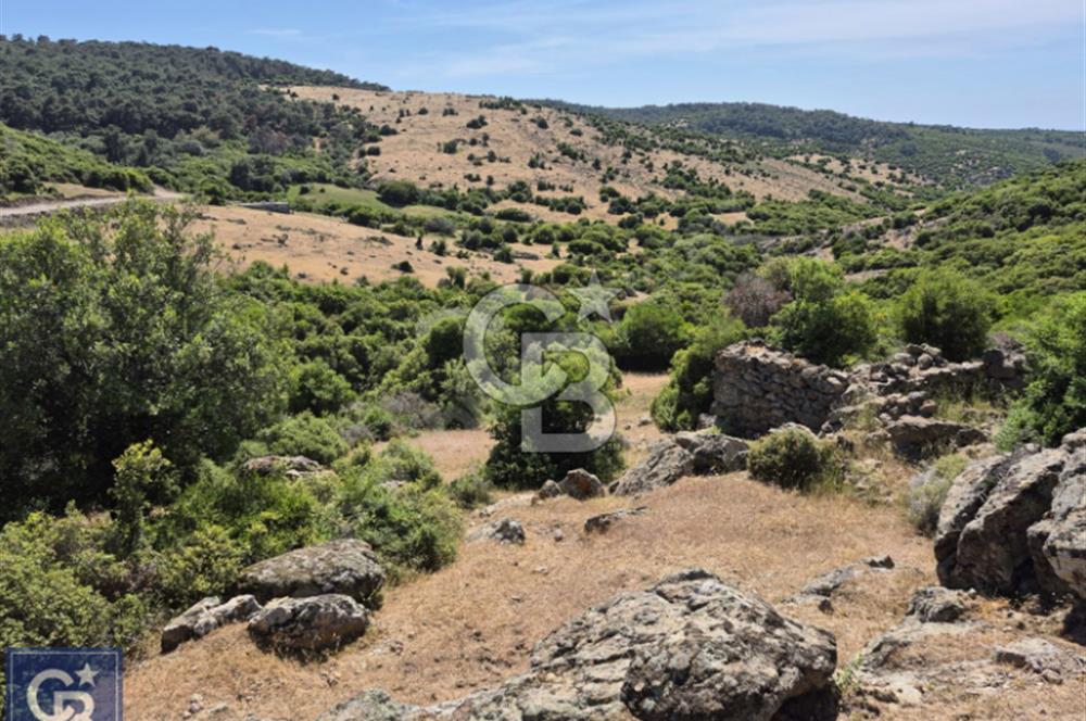 AYVACIK/KOCAKÖY'DE KÖYÜN DİBİNDE,RESMİ YOLU OLAN"5472M2 ARAZİ"