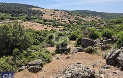 AYVACIK/KOCAKÖY'DE KÖYÜN DİBİNDE,RESMİ YOLU OLAN"5472M2 ARAZİ"