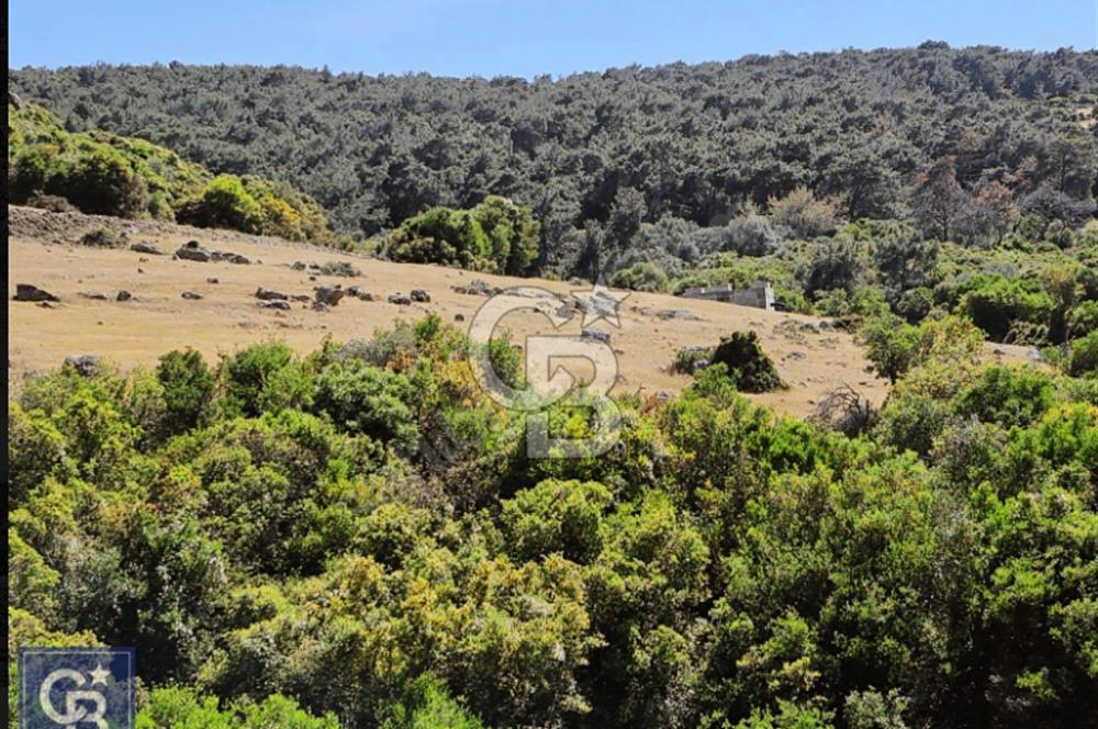 AYVACIK/KOCAKÖY'DE KÖYÜN DİBİNDE,RESMİ YOLU OLAN"5472M2 ARAZİ"
