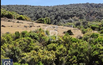 AYVACIK/KOCAKÖY'DE KÖYÜN DİBİNDE,RESMİ YOLU OLAN"5472M2 ARAZİ"