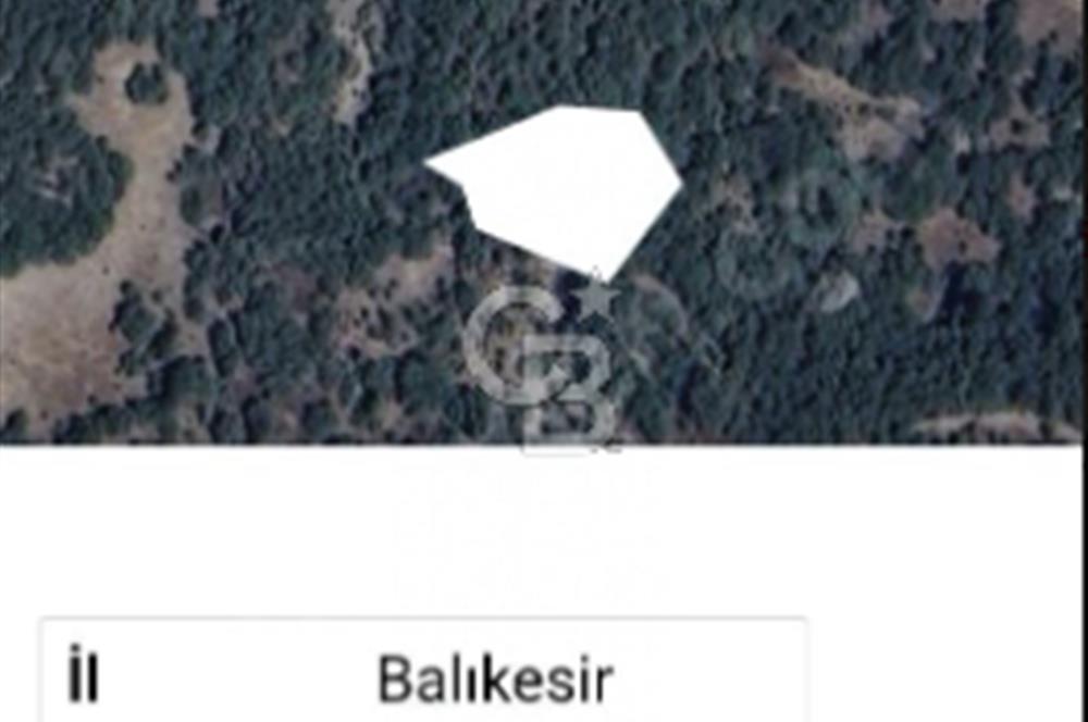 BALIKESİR/DURSUNBEY AŞAĞIYAĞCILAR MAHALLESİ'NDE 1812M² ARAZİ.