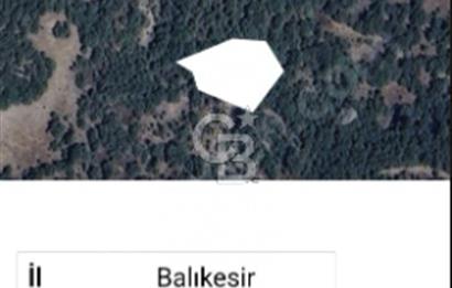 BALIKESİR/DURSUNBEY AŞAĞIYAĞCILAR MAHALLESİ'NDE 1812M² ARAZİ.