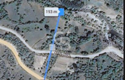 Balıkesir/Dursunbey Aşağıyağcılar'da asfalta cepheli 1741m2...