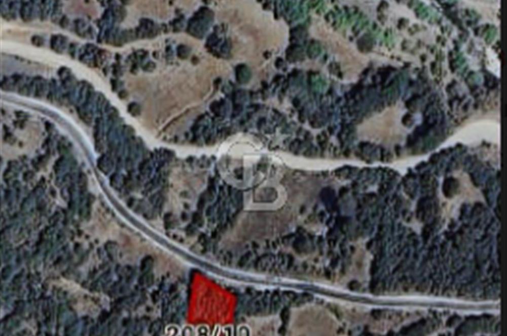 Balıkesir/Dursunbey Aşağıyağcılar'da asfalta cepheli 1741m2...