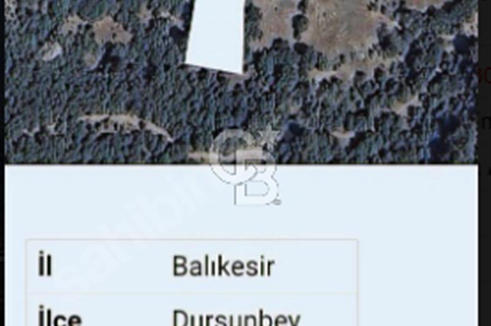 Balıkesir/Dursunbey Aşağıyağcılar'da asfalta cepheli 1741m2...