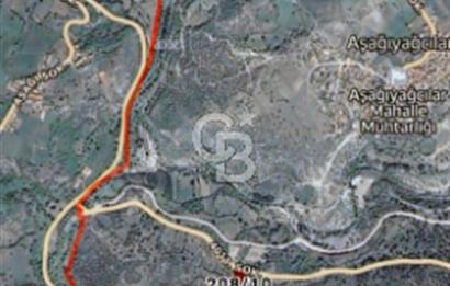 Balıkesir/Dursunbey Aşağıyağcılar'da asfalta cepheli 1741m2...