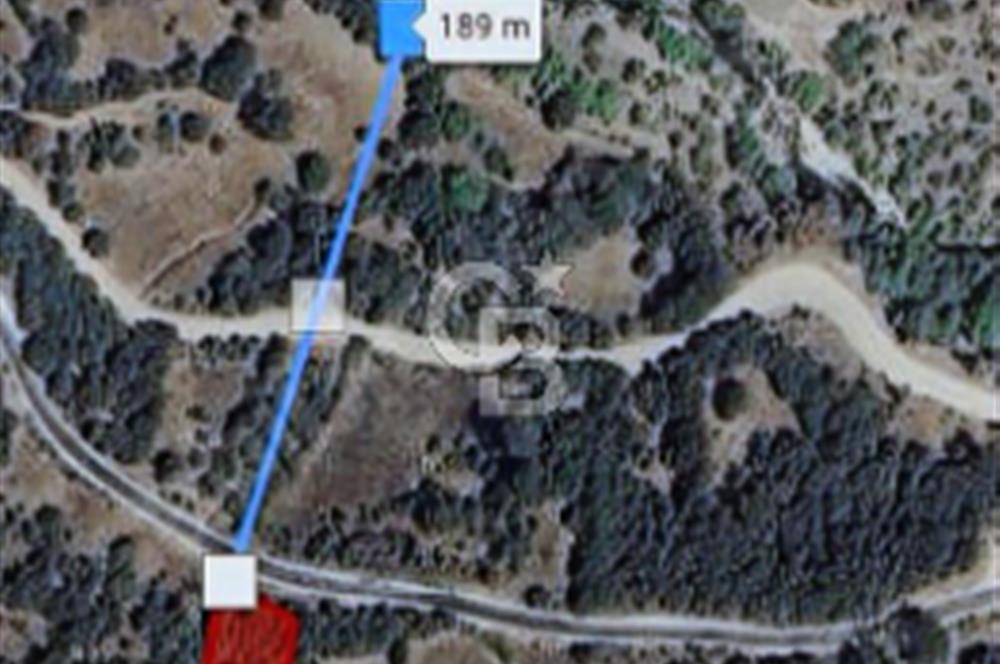 Balıkesir/Dursunbey Aşağıyağcılar'da asfalta cepheli 1741m2...