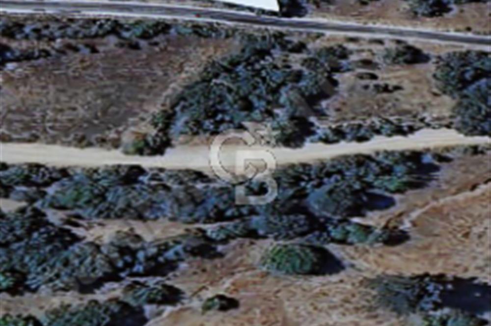 Balıkesir/Dursunbey Aşağıyağcılar'da asfalta cepheli 1741m2...