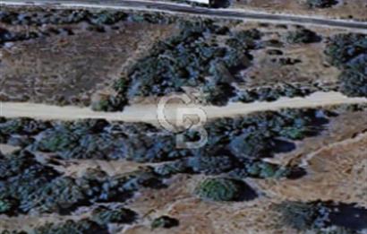 Balıkesir/Dursunbey Aşağıyağcılar'da asfalta cepheli 1741m2...