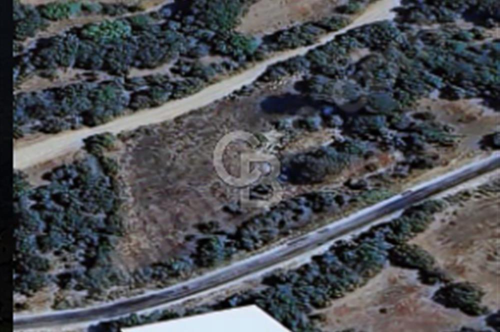Balıkesir/Dursunbey Aşağıyağcılar'da asfalta cepheli 1741m2...