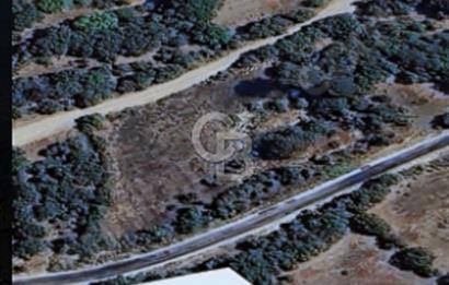 Balıkesir/Dursunbey Aşağıyağcılar'da asfalta cepheli 1741m2...