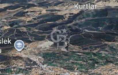 Balıkesir/Dursunbey Aşağıyağcılar'da asfalta cepheli 1741m2...