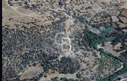Balıkesir/Dursunbey Aşağıyağcılar'da asfalta cepheli 1741m2...