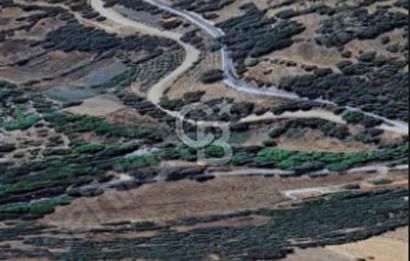 Balıkesir/Dursunbey Aşağıyağcılar'da asfalta cepheli 1741m2...