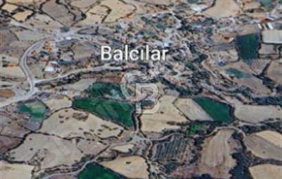 LAPSEKİ KÖPRÜ BÖLGESİNDE İMARA BİTİŞİK RESMİ YOLLU "535M2"PARSEL