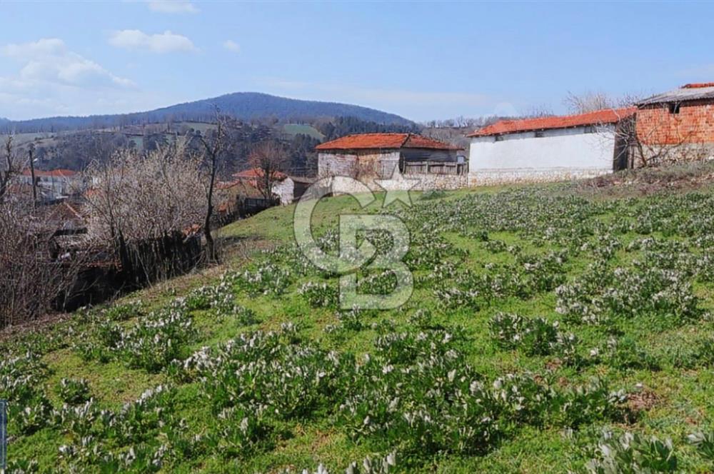 KAZDAĞLARI'NIN İNCİSİ YEŞİL YENİCE'DE FIRSAT FİYATA"1350M2 ARSA"