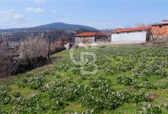 KAZDAĞLARI'NIN İNCİSİ YEŞİL YENİCE'DE FIRSAT FİYATA"1350M2 ARSA"