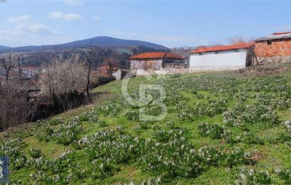 KAZDAĞLARI'NIN İNCİSİ YEŞİL YENİCE'DE FIRSAT FİYATA"1350M2 ARSA"