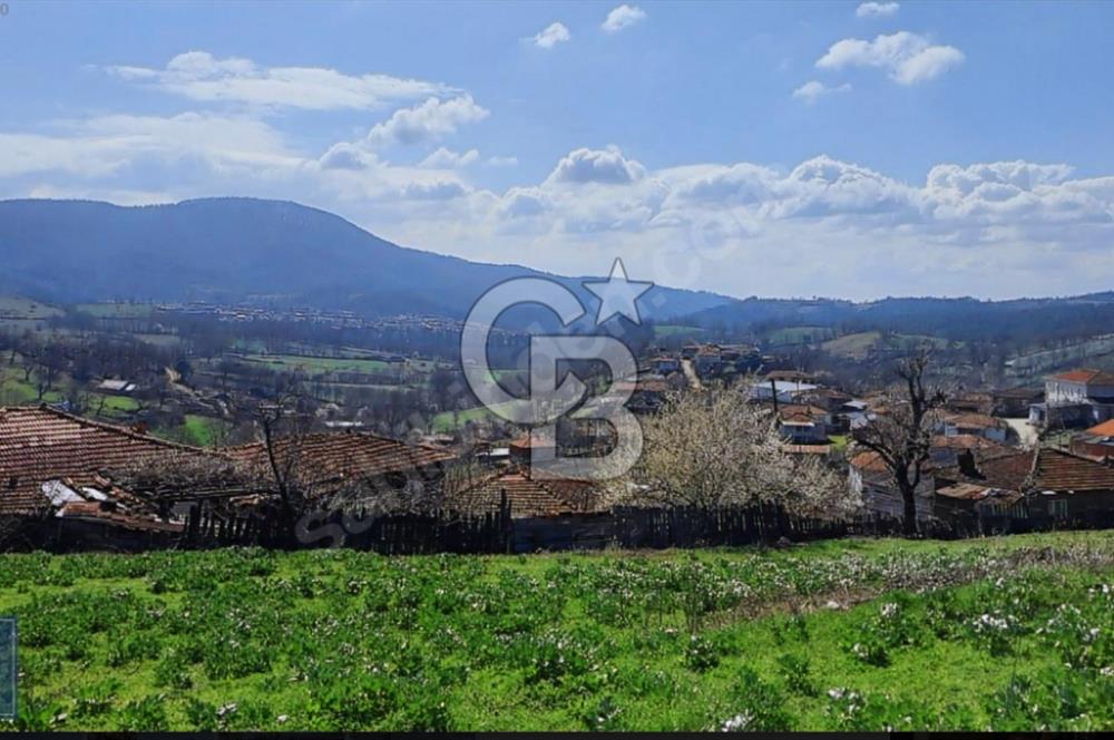 KAZDAĞLARI'NIN İNCİSİ YEŞİL YENİCE'DE FIRSAT FİYATA"1350M2 ARSA"