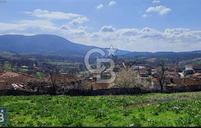 KAZDAĞLARI'NIN İNCİSİ YEŞİL YENİCE'DE FIRSAT FİYATA"1350M2 ARSA"