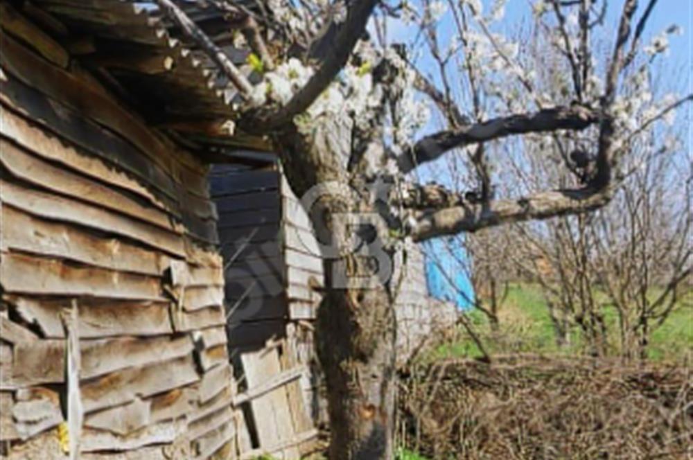 KAZDAĞLARI'NIN İNCİSİ YEŞİL YENİCE'DE FIRSAT FİYATA"1350M2 ARSA"