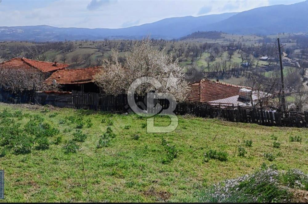 KAZDAĞLARI'NIN İNCİSİ YEŞİL YENİCE'DE FIRSAT FİYATA"1350M2 ARSA"