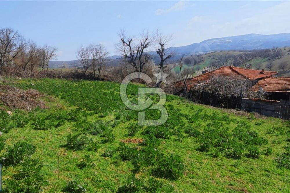 KAZDAĞLARI'NIN İNCİSİ YEŞİL YENİCE'DE FIRSAT FİYATA"1350M2 ARSA"