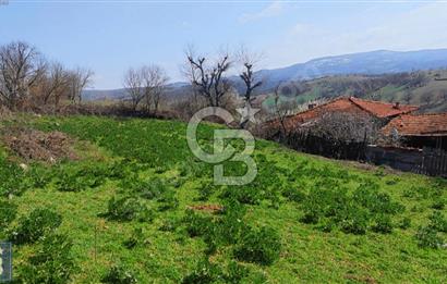 KAZDAĞLARI'NIN İNCİSİ YEŞİL YENİCE'DE FIRSAT FİYATA"1350M2 ARSA"
