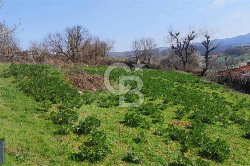 KAZDAĞLARI'NIN İNCİSİ YEŞİL YENİCE'DE FIRSAT FİYATA"1350M2 ARSA"