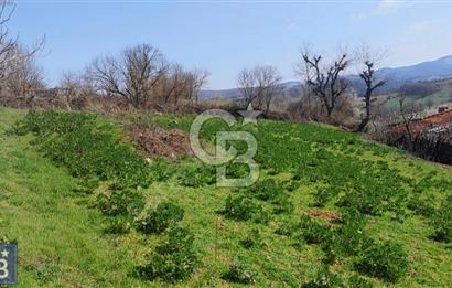 KAZDAĞLARI'NIN İNCİSİ YEŞİL YENİCE'DE FIRSAT FİYATA"1350M2 ARSA"