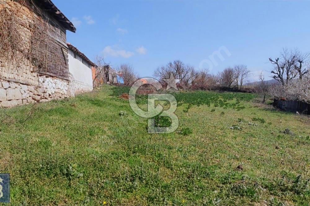 KAZDAĞLARI'NIN İNCİSİ YEŞİL YENİCE'DE FIRSAT FİYATA"1350M2 ARSA"
