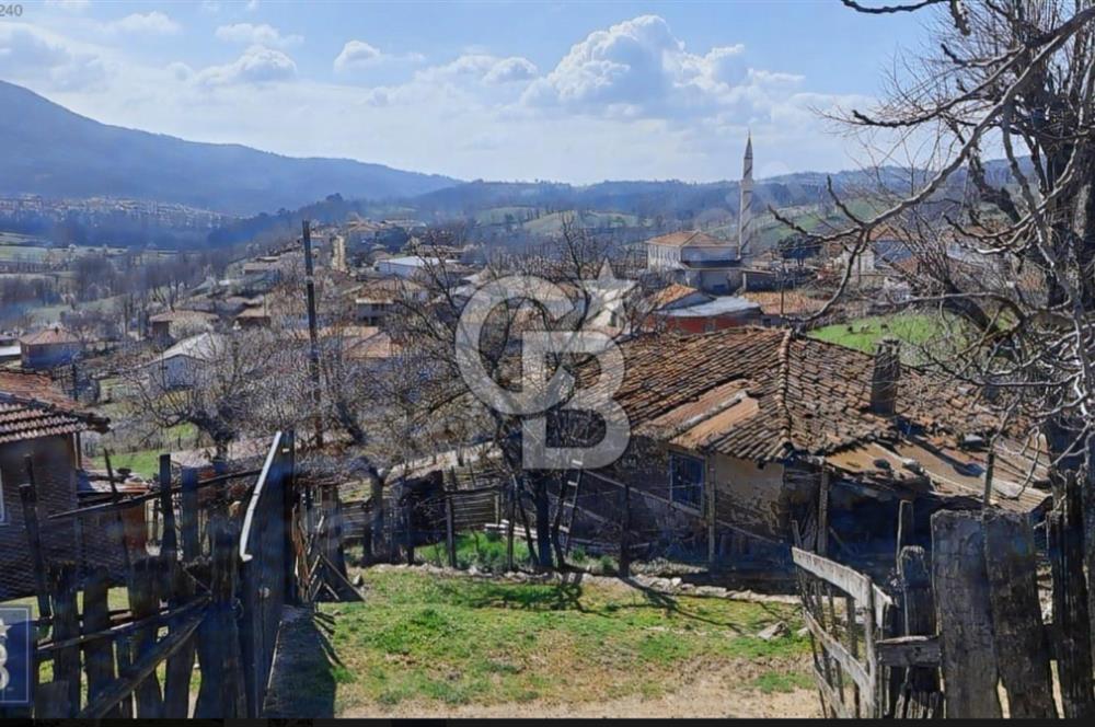 KAZDAĞLARI'NIN İNCİSİ YEŞİL YENİCE'DE FIRSAT FİYATA"1350M2 ARSA"
