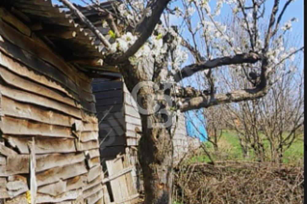 KAZDAĞLARI'NIN İNCİSİ YEŞİL YENİCE'DE FIRSAT FİYATA"1350M2 ARSA"