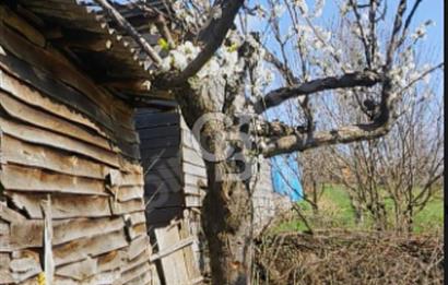 KAZDAĞLARI'NIN İNCİSİ YEŞİL YENİCE'DE FIRSAT FİYATA"1350M2 ARSA"