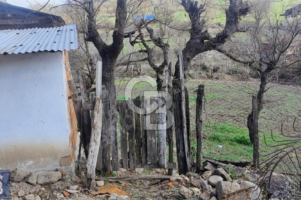 KAZDAĞLARININ İNCİSİ YENİCE'DE 2 ADET 1186.M2.LİK BÜYÜK ARSA.