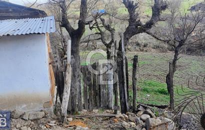 KAZDAĞLARININ İNCİSİ YENİCE'DE 2 ADET 1186.M2.LİK BÜYÜK ARSA.