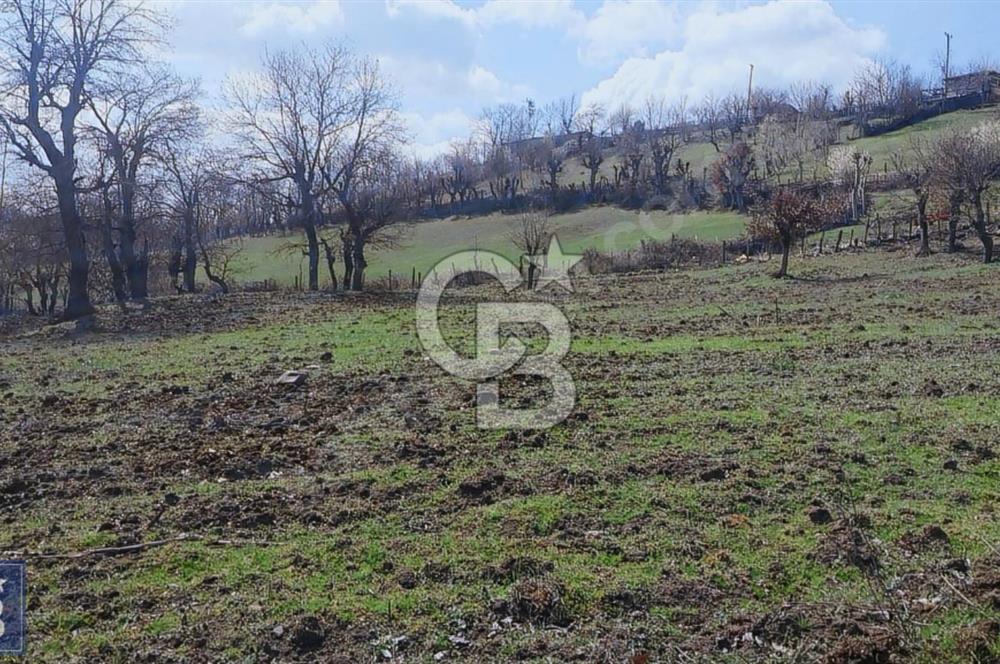 KAZDAĞLARININ İNCİSİ YENİCE'DE 2 ADET 1186.M2.LİK BÜYÜK ARSA.