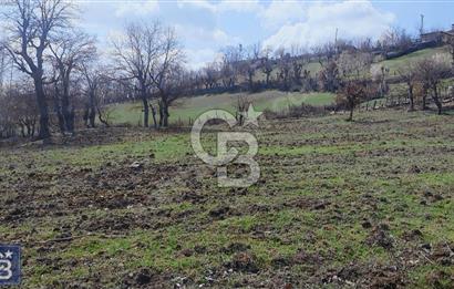 KAZDAĞLARININ İNCİSİ YENİCE'DE 2 ADET 1186.M2.LİK BÜYÜK ARSA.