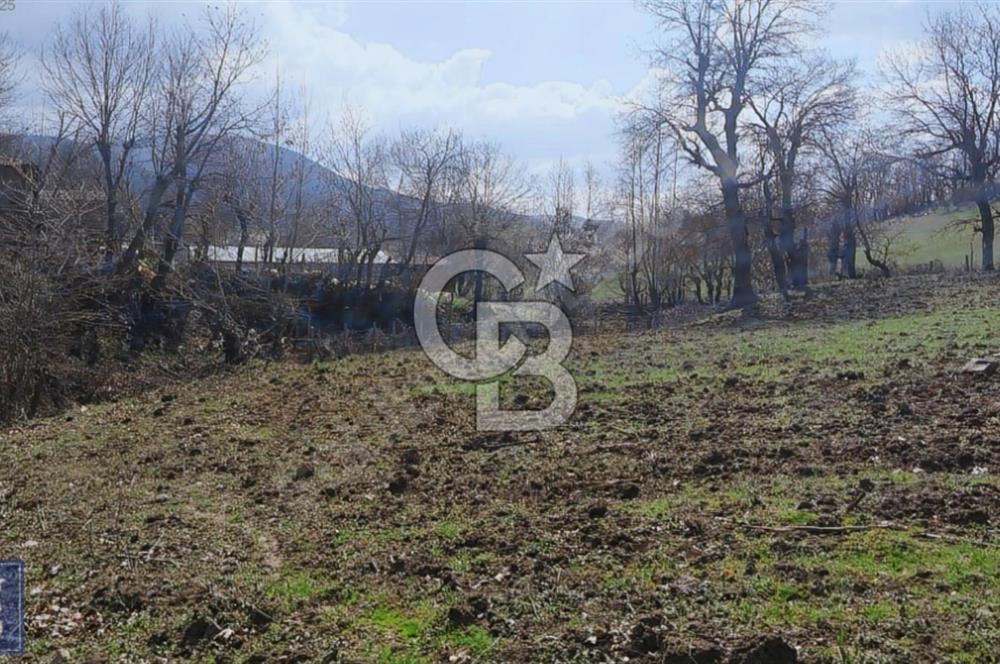 KAZDAĞLARININ İNCİSİ YENİCE'DE 2 ADET 1186.M2.LİK BÜYÜK ARSA.