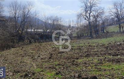 KAZDAĞLARININ İNCİSİ YENİCE'DE 2 ADET 1186.M2.LİK BÜYÜK ARSA.