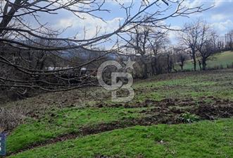 KAZDAĞLARININ İNCİSİ YENİCE'DE 2 ADET 1186.M2.LİK BÜYÜK ARSA.