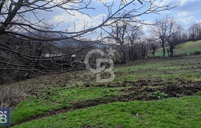 KAZDAĞLARININ İNCİSİ YENİCE'DE 2 ADET 1186.M2.LİK BÜYÜK ARSA.